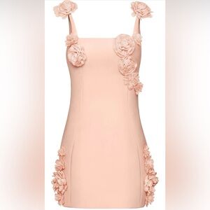 JW PEI Blush Floral Embellished Midi Dress